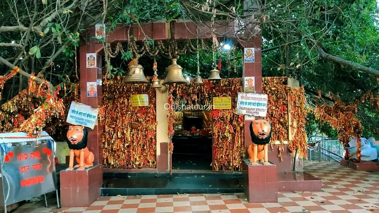 Wild Treasure Debrigarh - Odisha